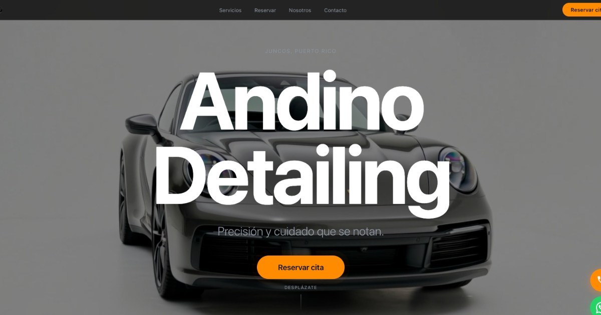 Andino Detailing